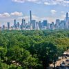 How Trees Act As NYC's "Natural Air Conditioning Units"